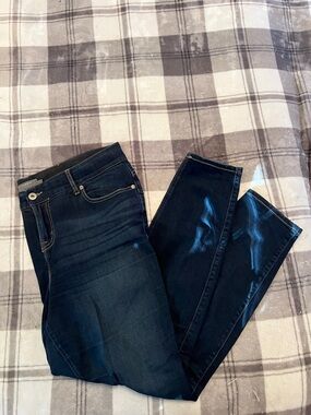 torrid Dark Indigo Skinny Jeans